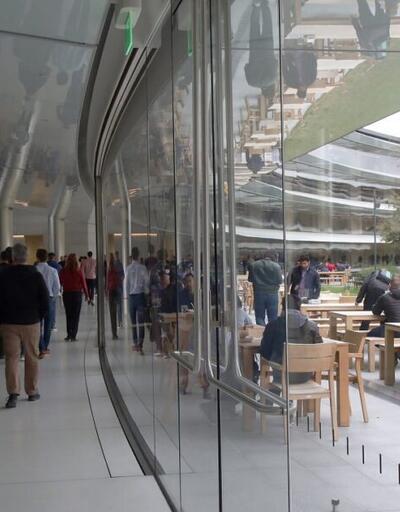 Apple çalışanları şirketin ofislere dönme kararından rahatsız