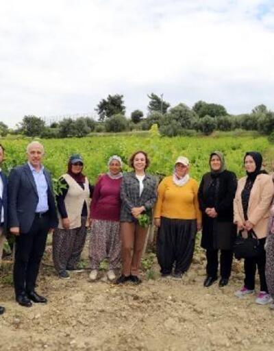Akdeniz’de çiftçilere, verimli ve etkin gübre kullanımı semineri