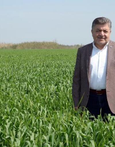 Korkut: Buğday taban fiyatı en az 8 TL olmalı