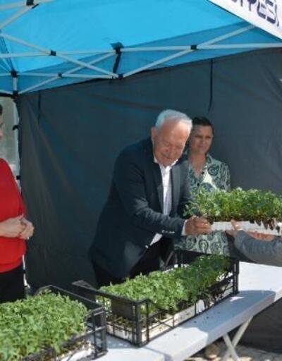 Lapseki Belediyesi vatandaşlara domates fidesi dağıttı