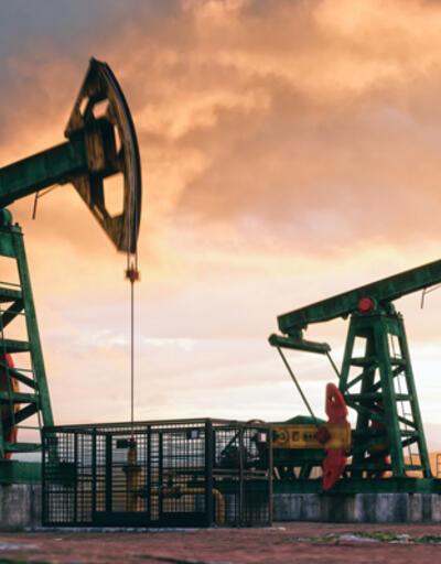 Petrol krizine OPEC+'tan yeni çözüm: Temmuzda başlayacak