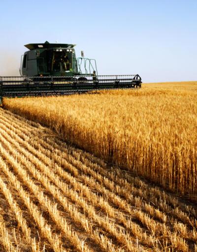Ukrayna’dan gıda krizine karşı 2 ülkeye tahıl koridoru