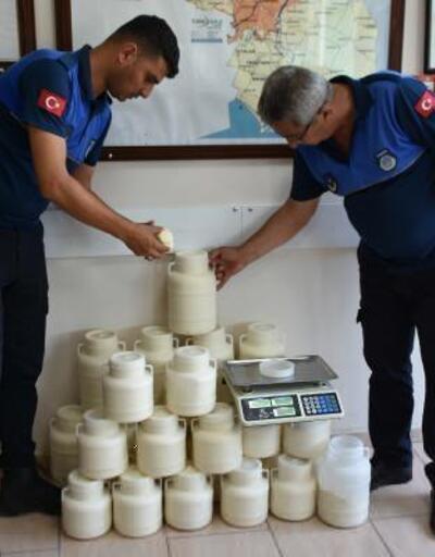 Tarsus'ta  halk sağlığına zararlı 830 kilo peynir ele geçirildi