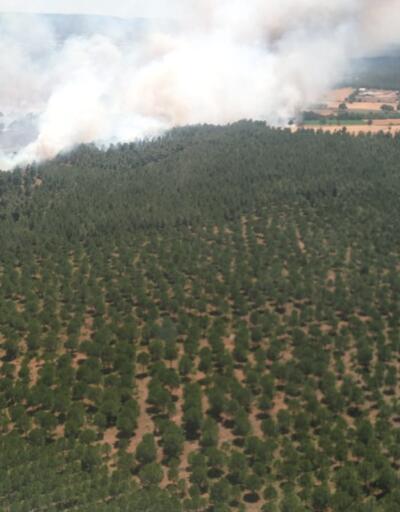 Çanakkale'de tarladaki yangın ormana sıçradı