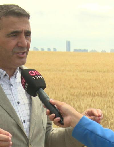 İstanbul'da tarım arazileri ne durumda?