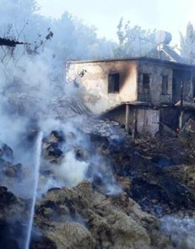 Tarsus'ta alev alan saman balyaları evi yaktı
