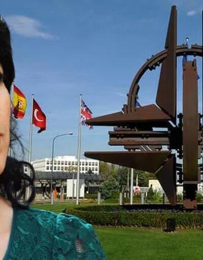 PKK yanlısı İsveçli vekilden flaş NATO çağrısı