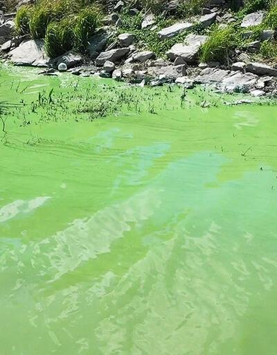 Sazlıbosna Barajı'nın rengi değişti