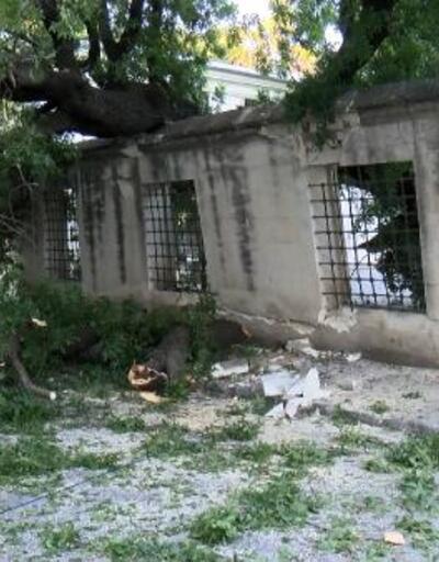 Üsküdar'da ağaç devrildi; otomobil hasar gördü