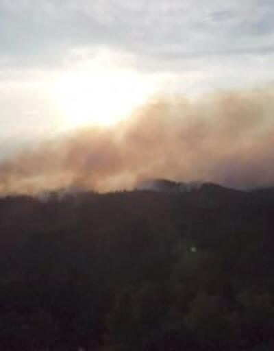 Çekya'da orman yangını söndürülemiyor