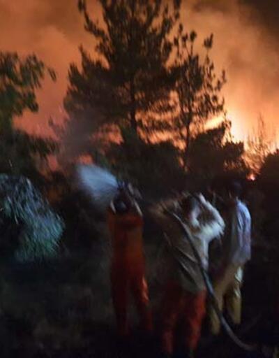 Manisa Soma'da orman yangını
