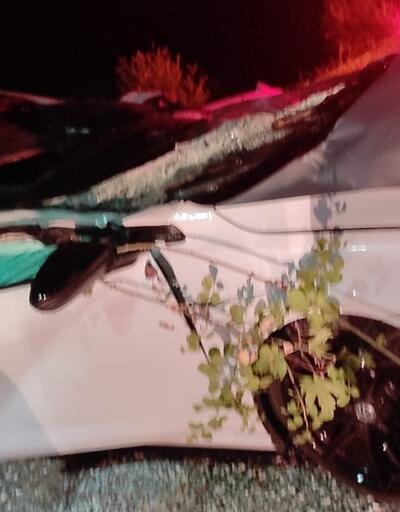 Milas'ta feci kaza: 2 ölü, 2 yaralı