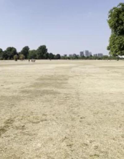 Londra'da aşırı sıcak krizi: Çimlerde 'sonbahar' havası!