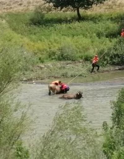 Nehirde çamura saplanan inekleri AFAD ve JAK ekipleri kurtardı