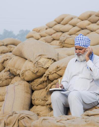 Hindistan'dan buğday unu ihracatına kısıtlama kararı