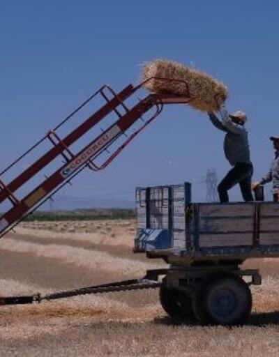 Konya'nın geri dönüşü! Türkiye'nin tahıl ambarından 2,2 milyon ton rekolte