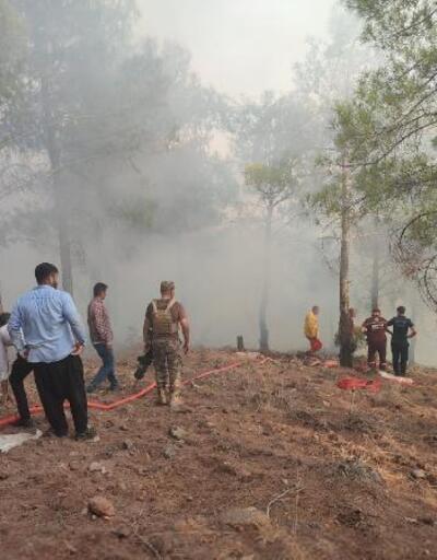 Hatay'da orman yangınında 5 hektarlık alan zarar gördü