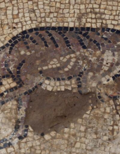 Filistinli çiftçi, ağaç dikerken Bizans mozaikleri buldu