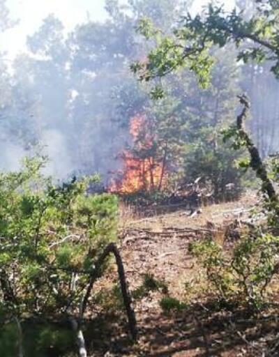 Çorum'daki orman yangınında 3 hektar alan zarar gördü