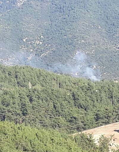 Adana'da 2 ilçede orman yangını