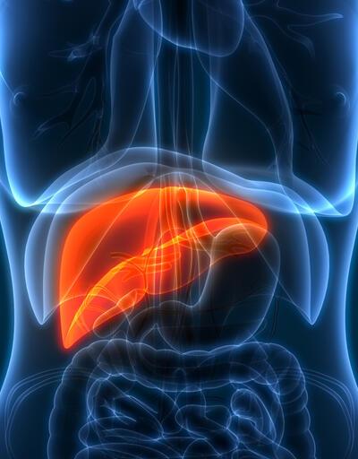 Karaciğer kanserinde mikrodalga ablasyon ve RF ablasyon yöntemlerinin farkları 
