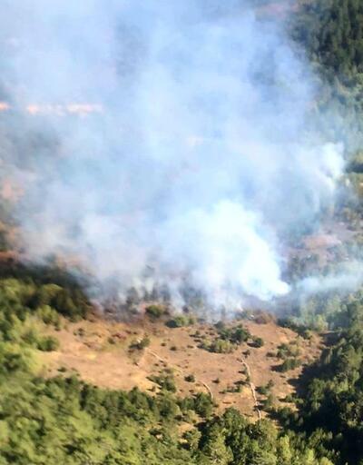 Kütahya'daki orman yangınına müdahale ediliyor