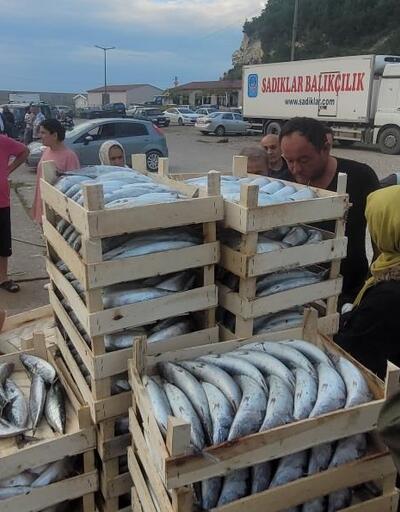 Kastamonu'da balıkçılar palamudu bolluktan ücretsiz dağıttı