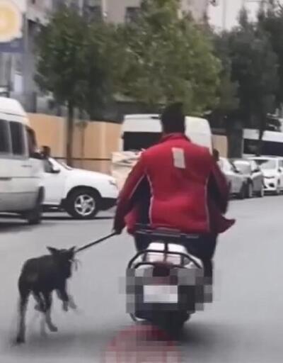 Motosikletin yanında köpeği koşturdu!