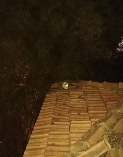Batman’da çatıda mahsur kalan kediyi itfaiye kurtardı