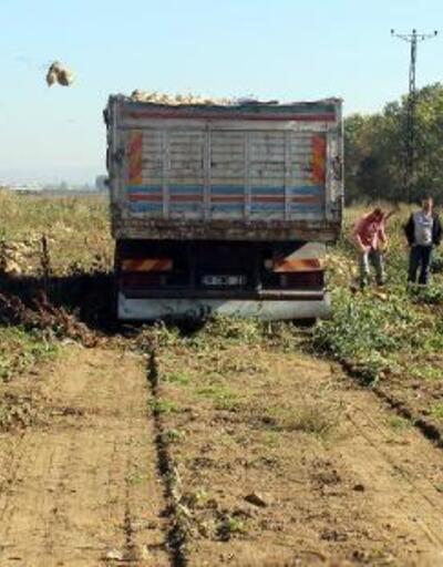 Yenişehir’de deneme ekimi yapılan pancarın hasadına başlandı