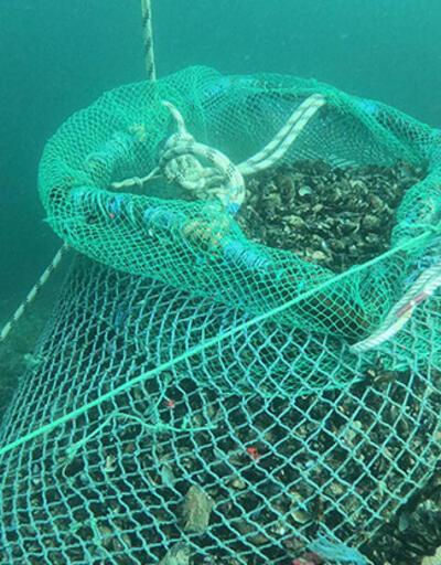 Marmara Denizi'nde kaçak avlanan 1 ton midye ele geçirildi  