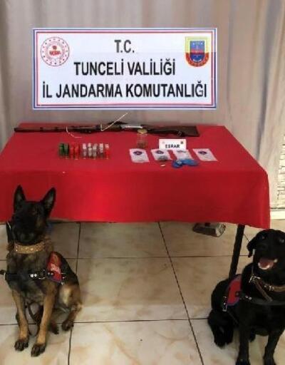 Tunceli'de uyuşturucuya 2 gözaltı