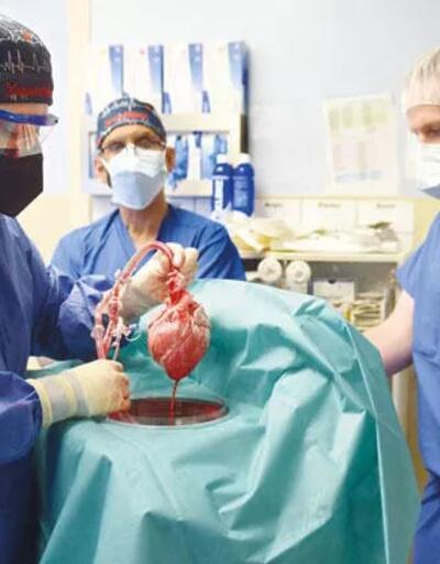 Hayvandan insana kalp nakleden doktor: 2 yıl içinde başarırız