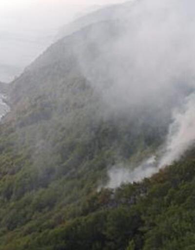 Ormanlık alana düşen yıldırım yangına neden oldu