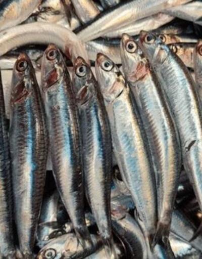 Uzmanından açıklama: En besleyici balık, kılçıklarıyla tüketin!