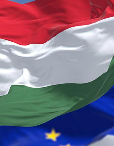 AP'den AB'ye Macaristan’a giden fonların dondurulması çağrısı