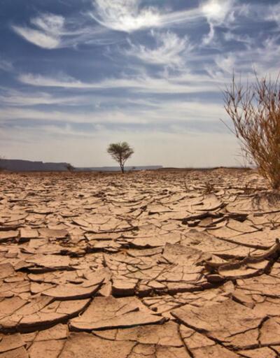 California'daki tarihi kuraklık ABD gıda güvenliğini tehdit ediyor