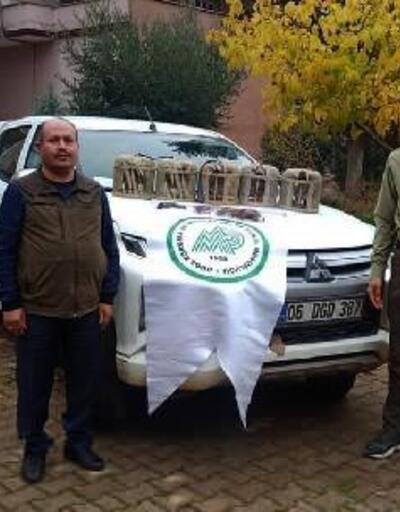 Gaziantep'te kaçak avcılar suçüstü yakalandı