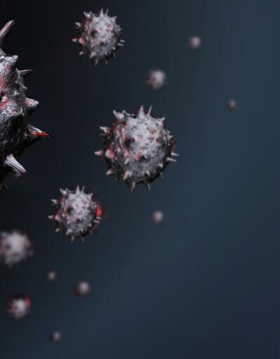 Bilim Kurulu Üyesi Prof. Dr. Alper Şener: 4-5 farklı tipte virüsle mücadele ediyoruz