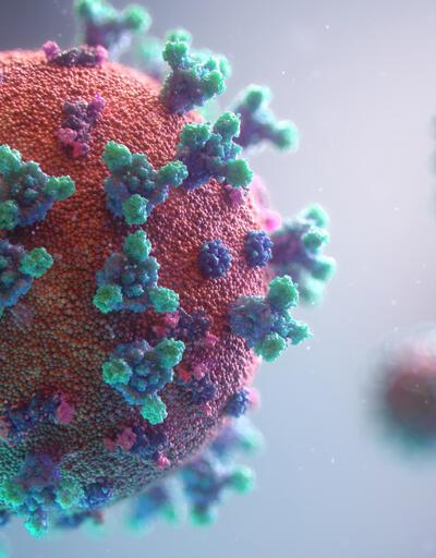 Çin'den korkutan haber! Eyaletin yüzde 90'ı koronavirüse yakalandı