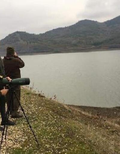 Tahtaköprü Barajı'nda kuş sayımı gerçekleştirildi