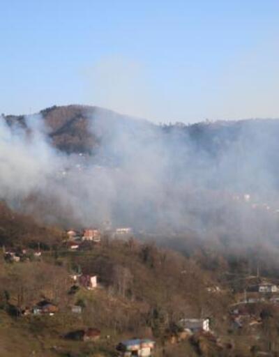 Zonguldak’ta 380 metrekare ormanlık alan yangından etkilendi