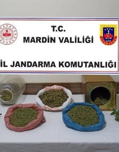 Mardin'de uyuşturucu operasyonu: 1 gözaltı