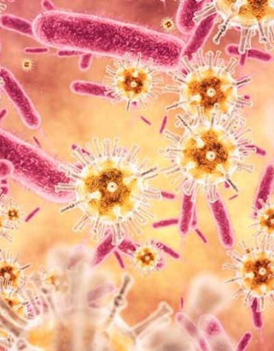 Menenjit ve zatürre gibi ciddi hastalıklara neden oluyor! 'Klebsiella pneumoniae' bakterisinin neden olduğu ölüm oranları 5 yıl sonra artabilir