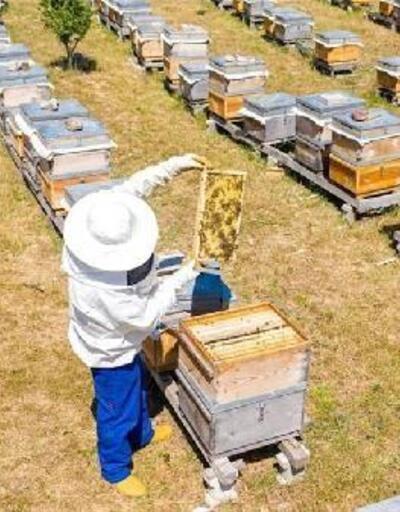 İnegöl Belediyesi 250 adet arı kovanı dağıtacak