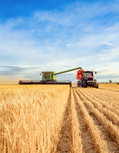 Tarım-ÜFE yıllık yüzde 127,56 arttı