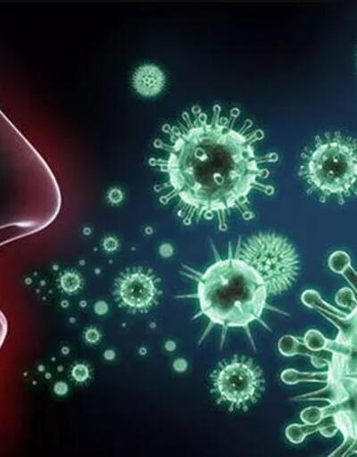 Bağışıklık sistemimizi nasıl güçlendiririz?