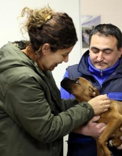 Depremzede çift, enkazdan yaralı kurtarılan köpeği sahiplendi