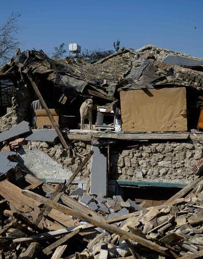 Depremlerin Türkiye tarımına verdiği hasar 24.2 milyar TL olarak ölçüldü