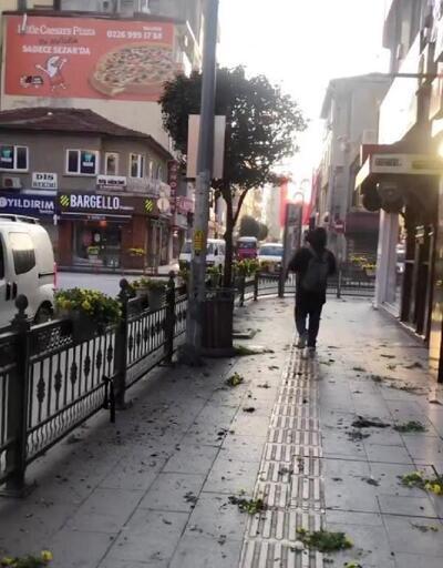 Yalova Belediyesi çiçekleri zarar verenleri arıyor